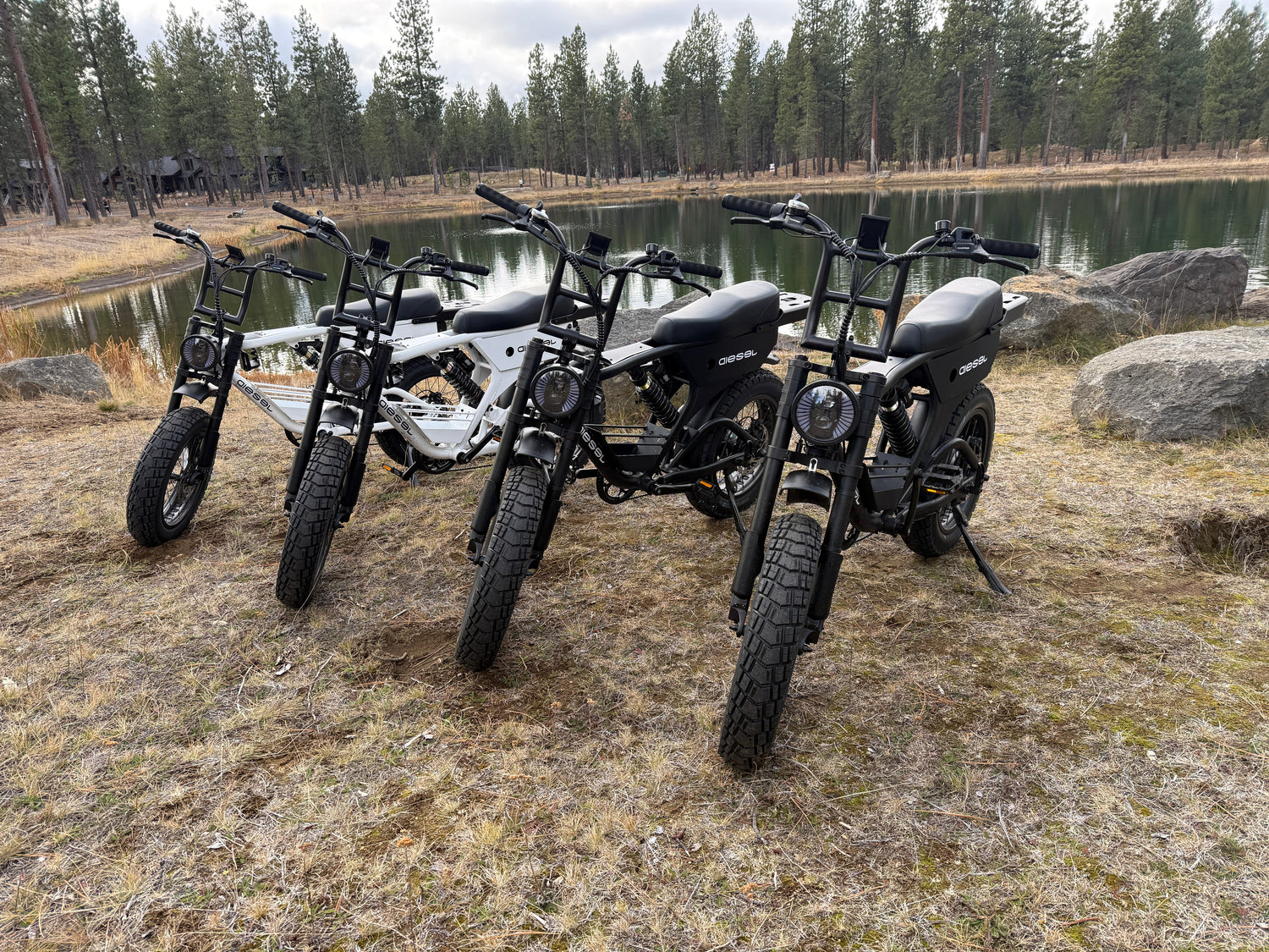 Long Range eBikes