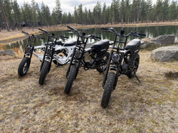 Long Range eBikes