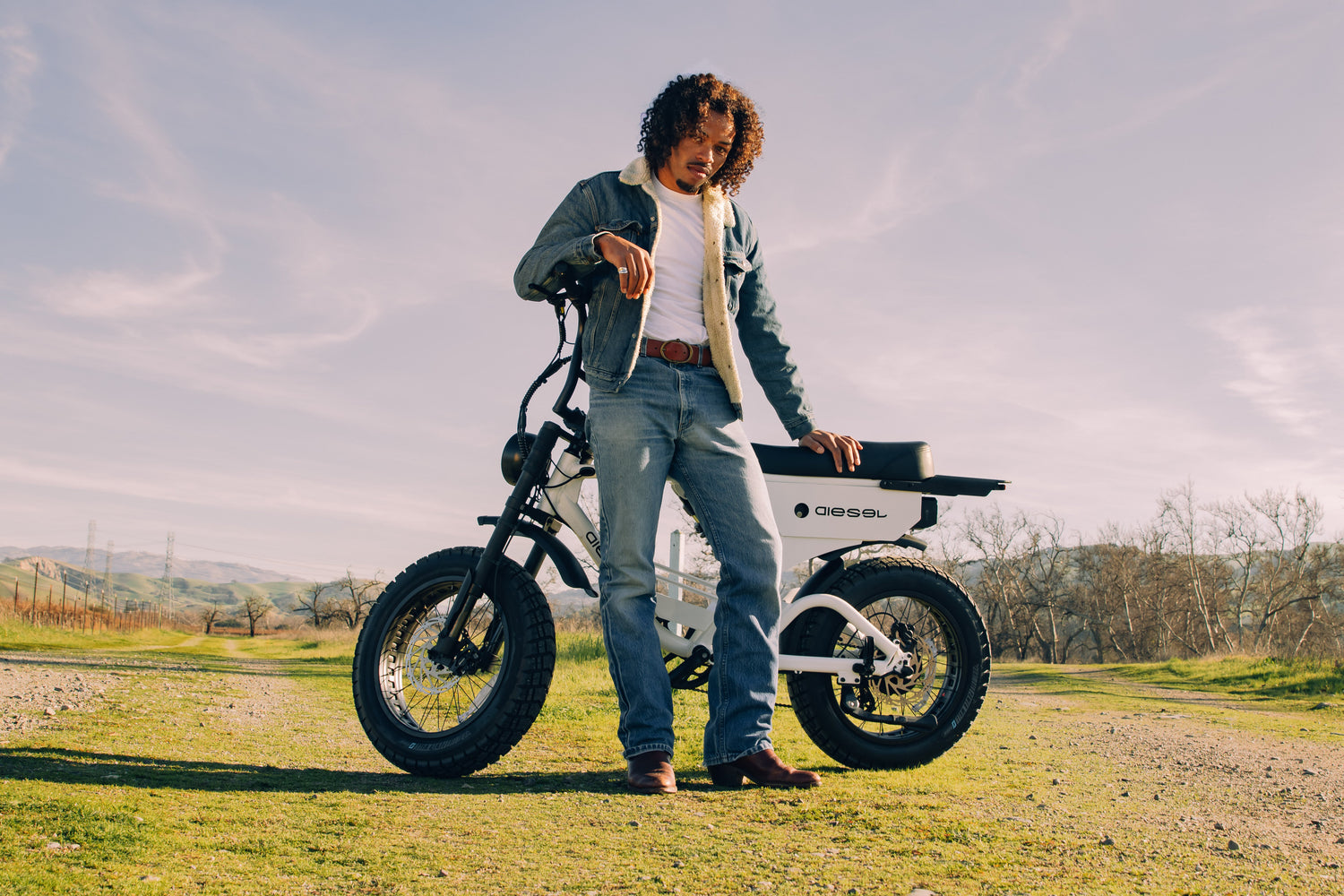 Pedal Assist eBikes