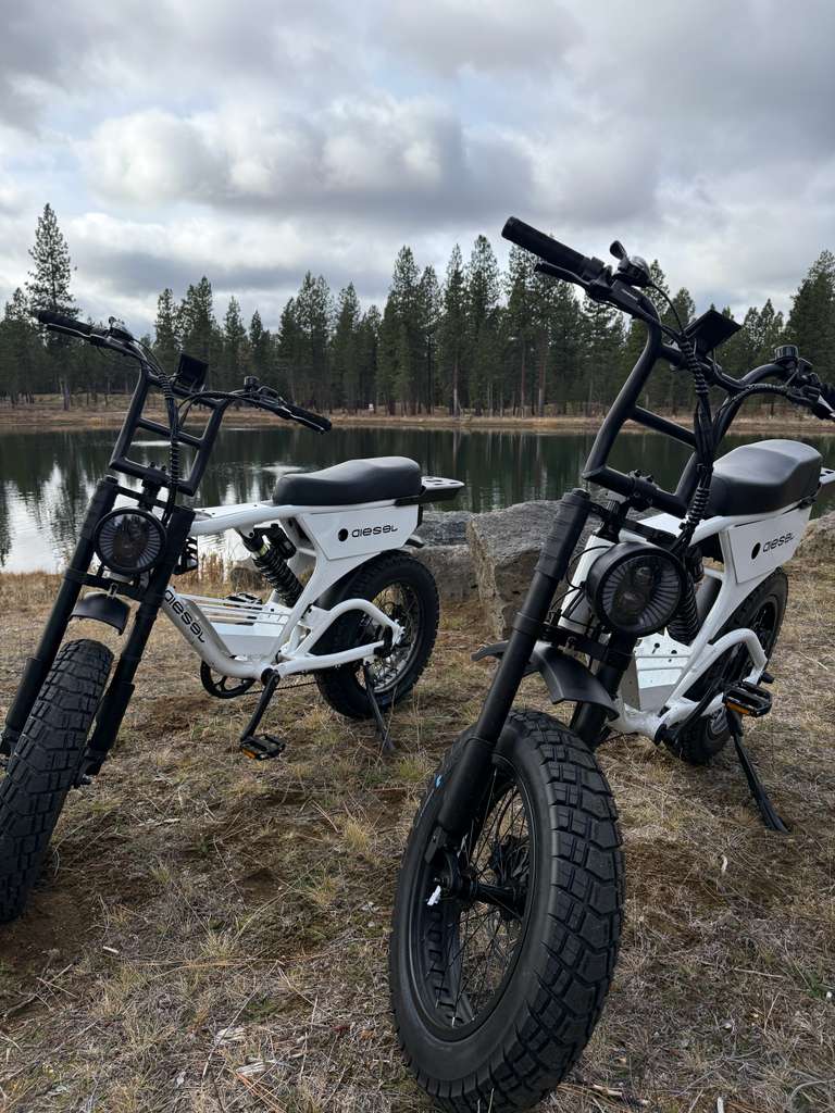 Diesel Cargo eBikes