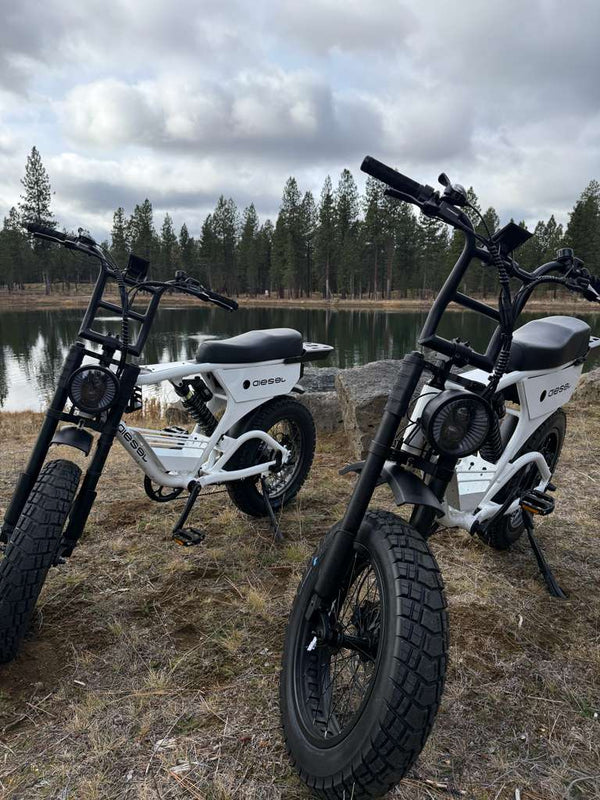 Cargo eBikes