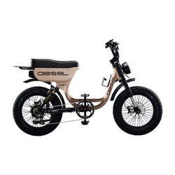 Urban eBikes